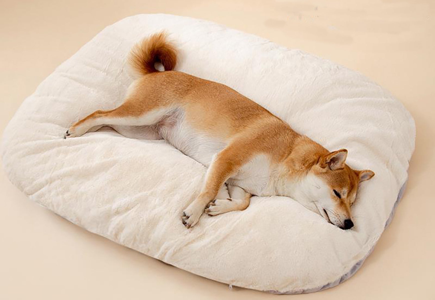 Care - Wiggle Bark
