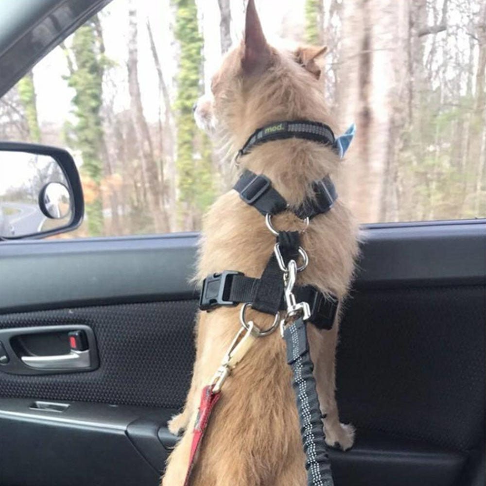 Adjustable Reflective Dog Seat Belt Harness for Car Safety - Wiggle Bark