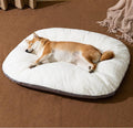Comfy Dog Crate Bed with Washable Cushion - Wiggle Bark