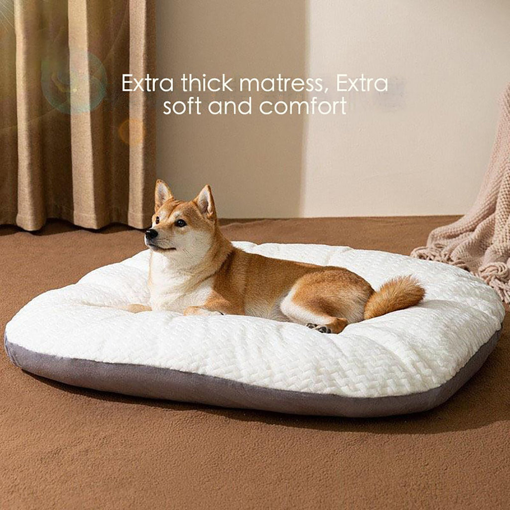 Comfy Dog Crate Bed with Washable Cushion - Wiggle Bark
