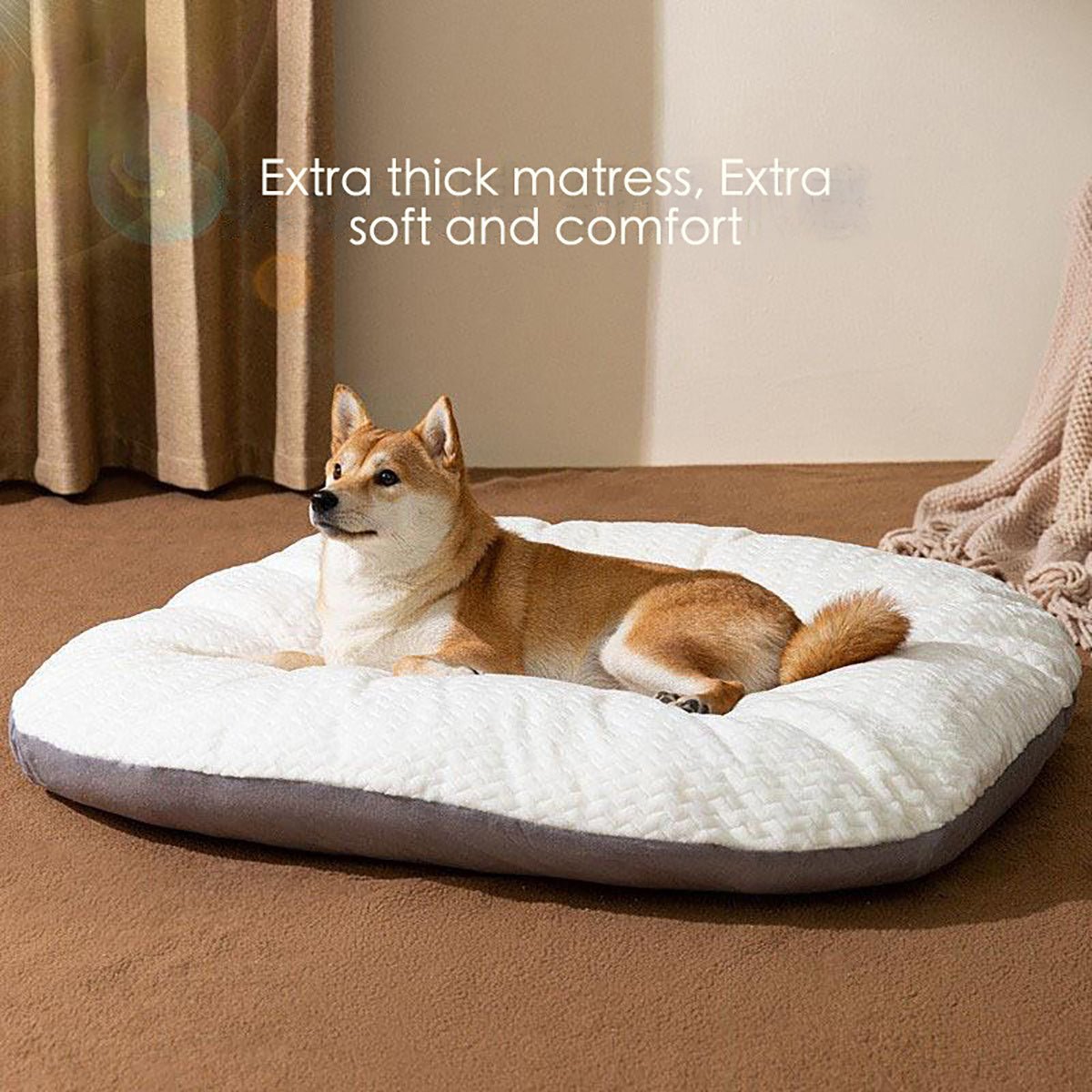 Comfy Dog Crate Bed with Washable Cushion - Wiggle Bark