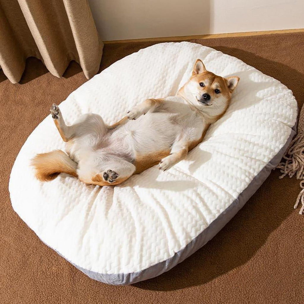 Comfy Dog Crate Bed with Washable Cushion - Wiggle Bark