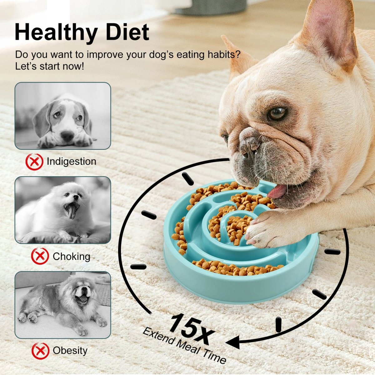Healthy Slow Feeder Bowl for Dogs - Wiggle Bark