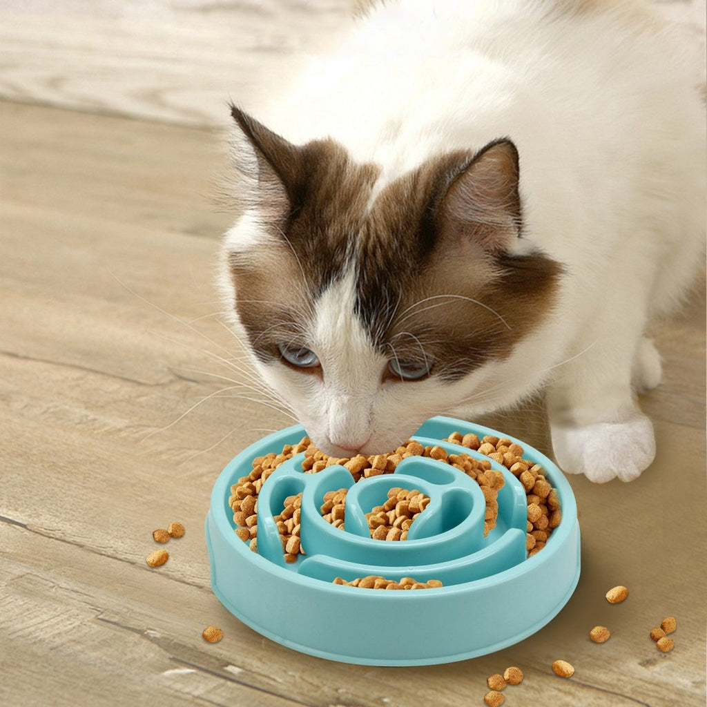 Healthy Slow Feeder Bowl for Dogs - Wiggle Bark