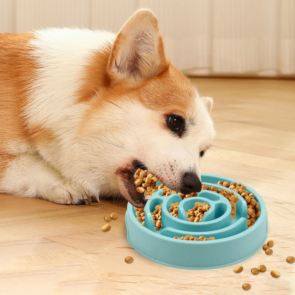 Healthy Slow Feeder Bowl for Dogs - Wiggle Bark