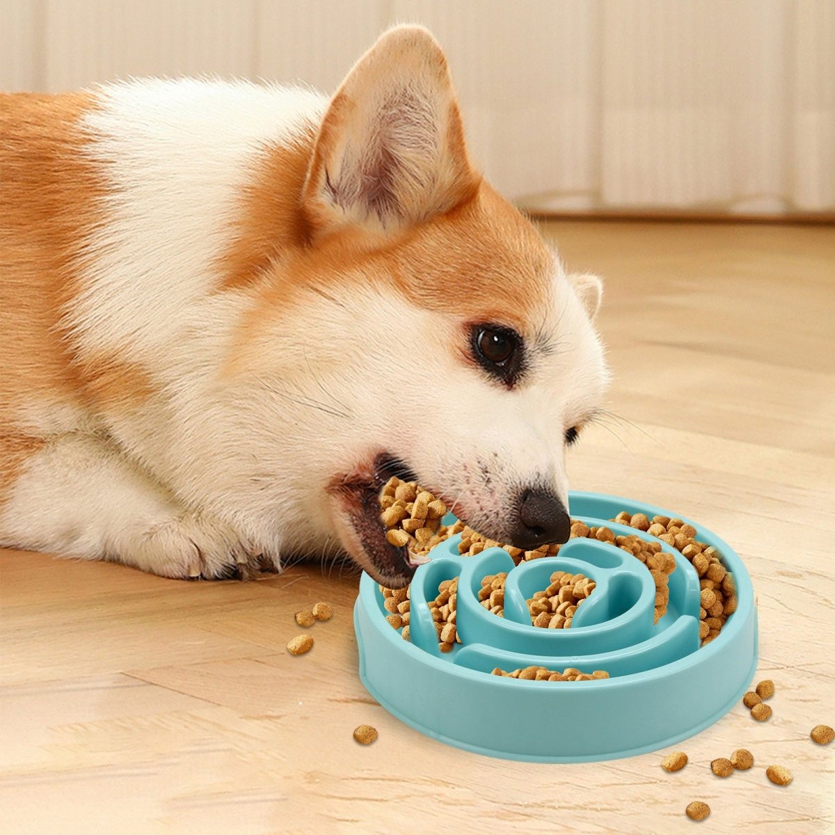 Healthy Slow Feeder Bowl for Dogs - Wiggle Bark